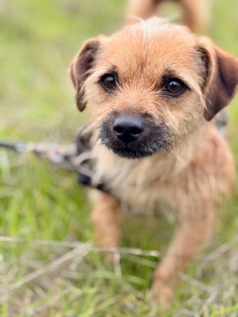 Happy monday to you all! Hope your week will be great ^^