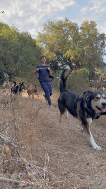 Little slomo of my brother running with the pack ❤️